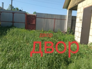Изображение WhatsApp 2025-08-23 в 16.56.50_d3c0cca8